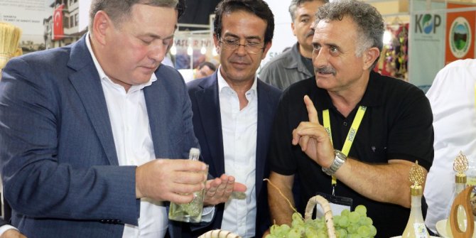 Rusya Tarım Bakan Yardımcısından “domates” açıklaması