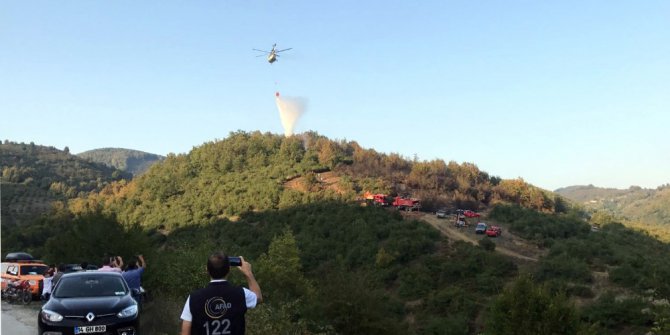 Düzce’de orman yangını