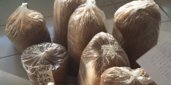 Sivas’ta kaçak tütün operasyonu