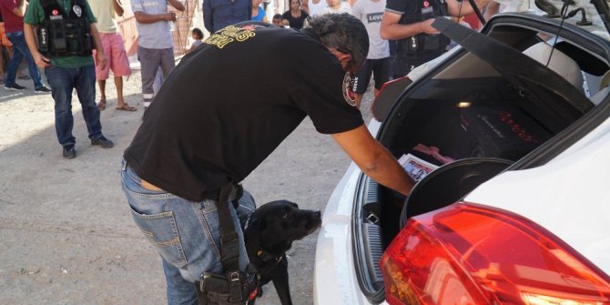 Polisler didik didik uyuşturucu aradı