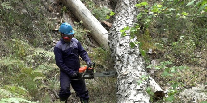 Mondial, tarım aletleri satışına başladı