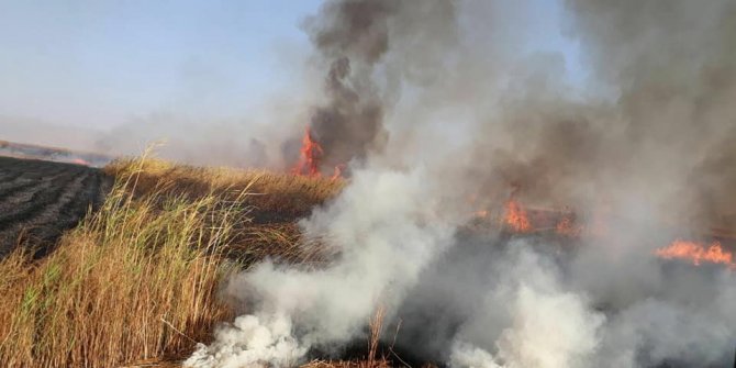 Kuş Cenneti’nde 6 dekar sazlık alan yandı