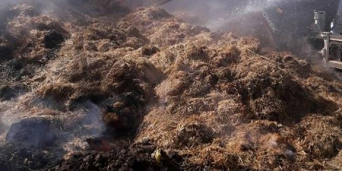 Mut’ta samanlık yangını