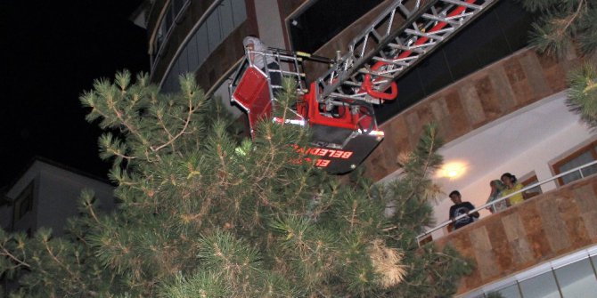 Elazığ’da kedi kurtarma operasyonu