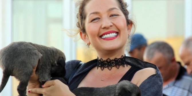 Yabancı turistler Kangal köpeğine hayran kaldı