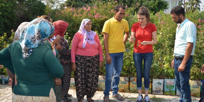 "Gül Yetiştiriciliğ Kursu" sona erdi