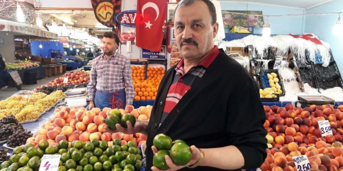 Sonbahar meyveleri pazara ulaştı