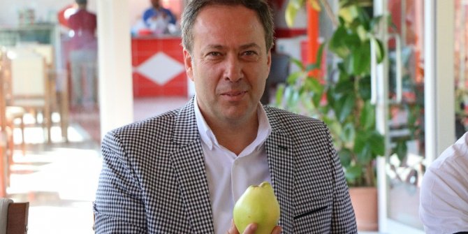 Geyve’de ‘Ayva Festivali’ başlıyor