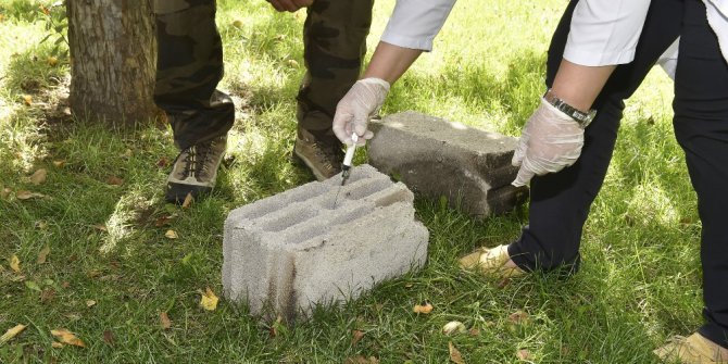 Ankara İtfaiyesi’nin dedektör köpeği Boomer’a “ceset arama köpeği” unvanı