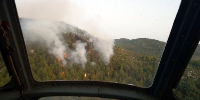 Muğla Milas’ta orman yangını