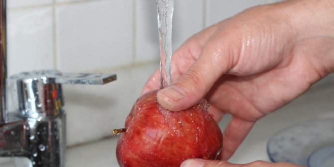 Prof. Dr. Demirağ: "Sebze ve meyveleri sirkeli suda bekletin, en az 15 dakika yıkayın"