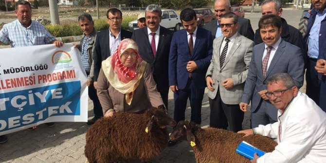 Müdür Fatih Yıldız: Hayvancılık destekleri uygulama esasları belli oldu