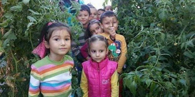 Altıntaş’ta ’sağlıklı besleniyoruz’ projesinin ilk ürünleri