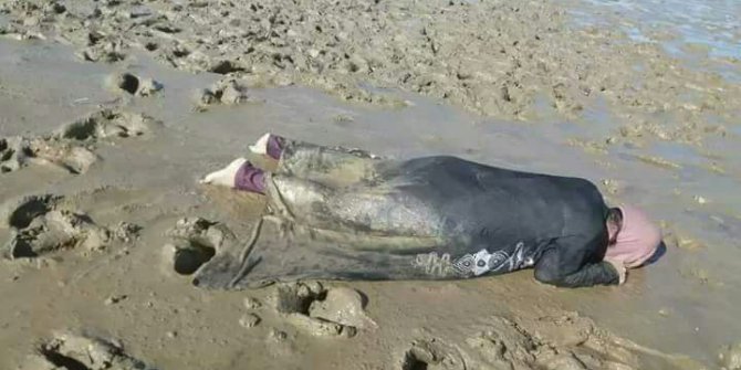 Nehrin kıyısında ölü bulunan Arakanlı kadın yürekleri sızlattı