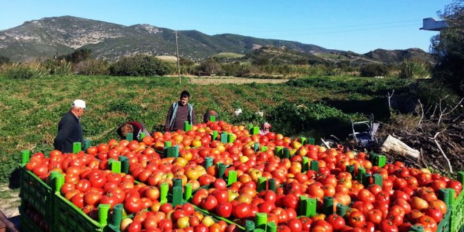 MÜSİAD Muğla Şube Başkanı Bayhan: