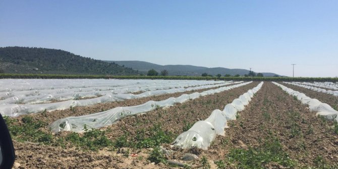 Tarımsal sulama tesisleri bakım onarımdan geçti