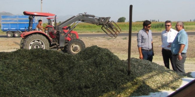 Balıkesir Bölge’de slaj üretimi devam ediyor