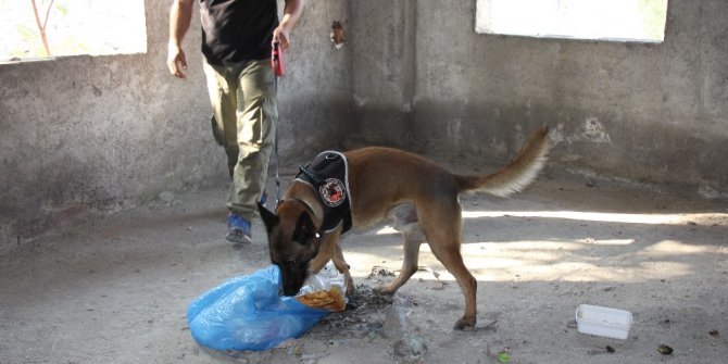 Metruk binalara uyuşturucu baskını