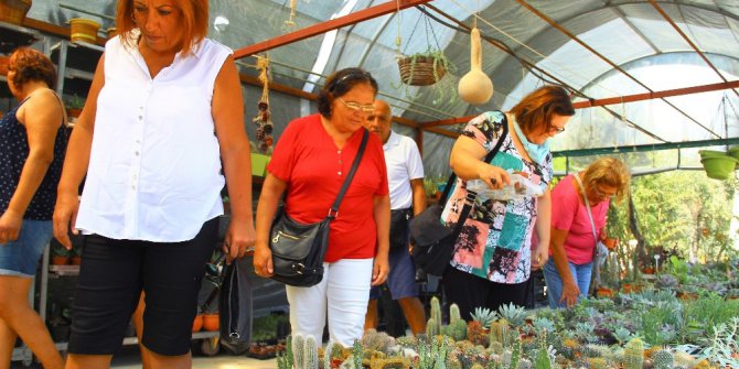 Türkiye’nin ilk kaktüs festivali