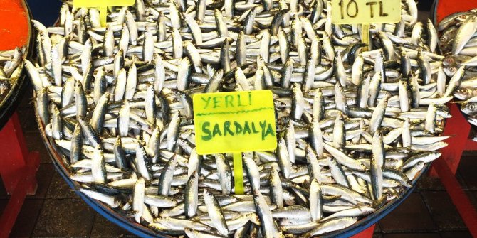 Balık tezgahları sardalye ile doldu