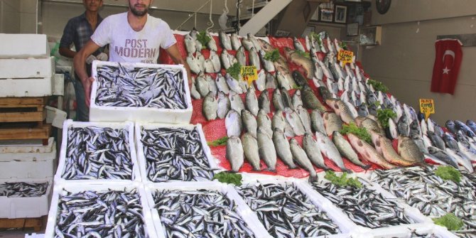 Tezgahlarda hamsi bereketi