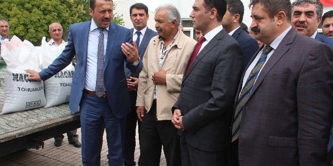 Elazığ’da 300 Çiftçiye Yem Bitkisi Tohumu Dağıtıldı