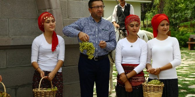 Altınköy’de bağ bozumu şenliği yapıldı