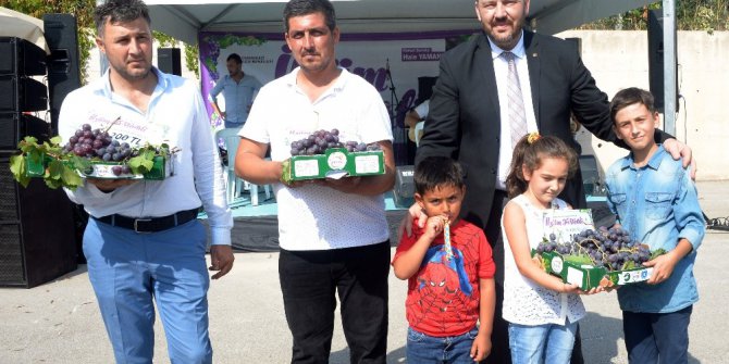Osmangazi’de Üzüm Festivali coşkusu