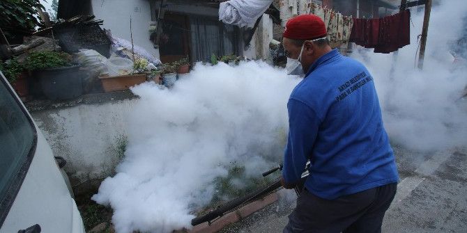 Akyazı Belediyesi Ekipleri Çöp Evi Temizledi