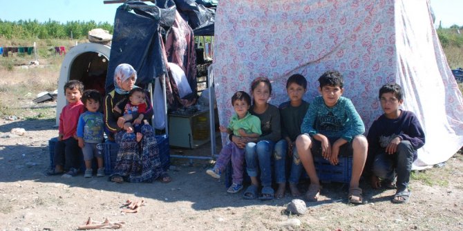 Atıl tesislerde insanlık dramı