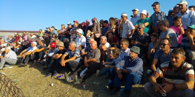 Batı Trakya’da yağlı güreş coşkusu