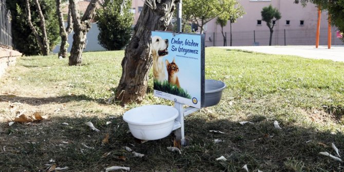 Sultanbeyli’de sokak hayvanları unutulmadı