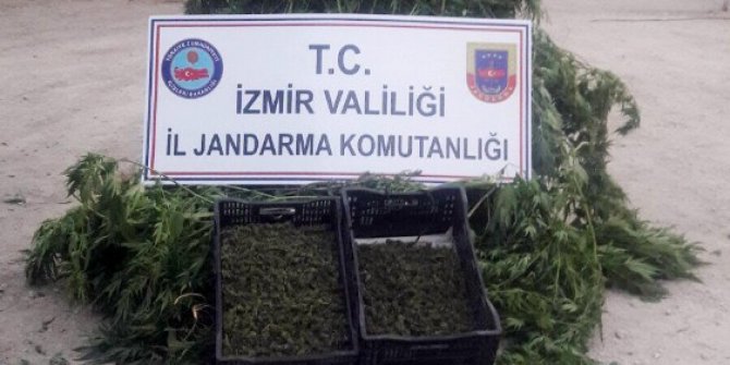 İzmir’de uyuşturucu operasyonu: 3 gözaltı