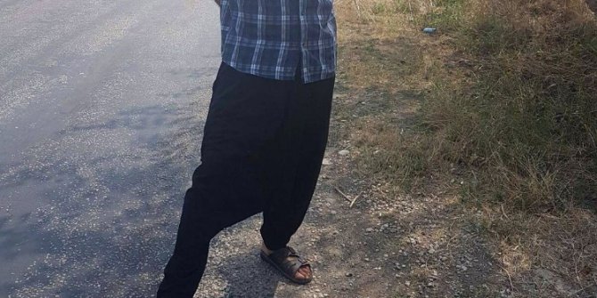 Yol kenarında bulunan dev kaplumbağa kabukları şaşırttı