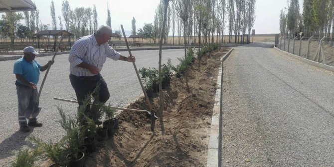 Sungurlu’da 9 bin fidan toprakla buluştu