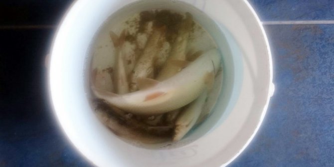 Derede balık avlayan 3 kişi gözaltına alındı