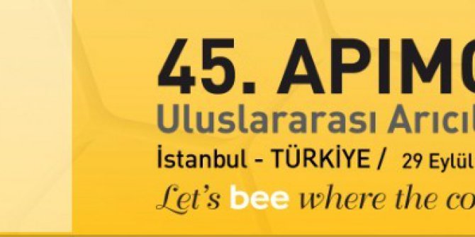 Beykoz’un kestane balını dünya tadacak