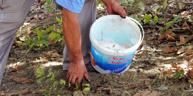 Çiftçinin hırsızla hikayesi akıllara durgunluk getirdi