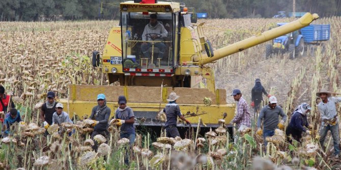 ’Soğukta yapamazsın’ dediler, şimdi paraya para demiyor