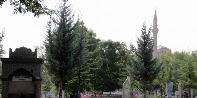 Mezarlıkta kendini ağaca astı