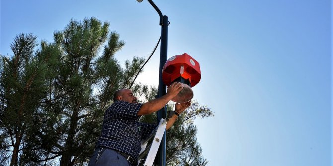 Tepebaşı haşereleri gözlemleyecek