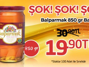 Balparmak 850 gr Bal