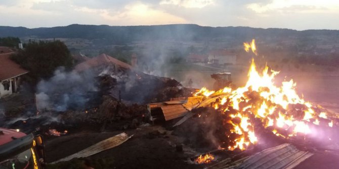 Kastamonu’da yangında 800 saman balyası yandı
