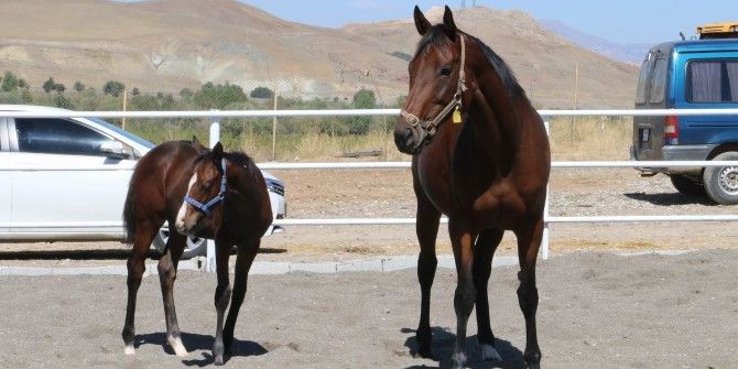 Erzincan’a Hipodrom Yapılacak