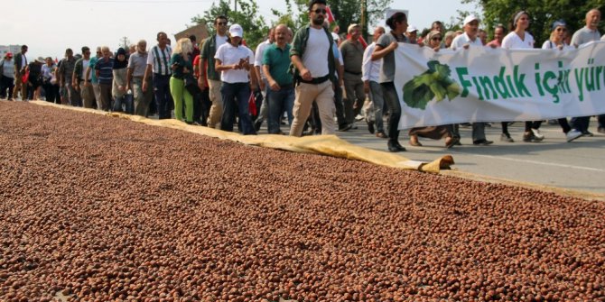 Fındık için adalet yürüyüşünün ikinci günü de tamamlandı
