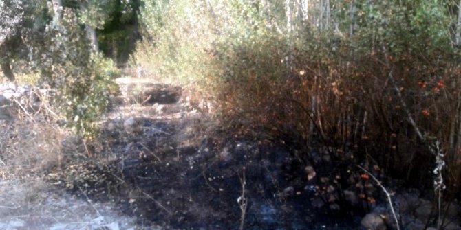 Bahçesindeki otları yakarken yanarak öldü