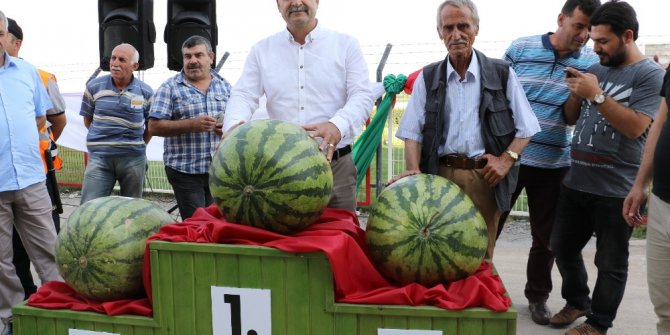 Diyarbakır’ın en ağır karpuzu seçildi