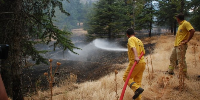 Tokat’ta ot yangını büyümeden söndürüldü