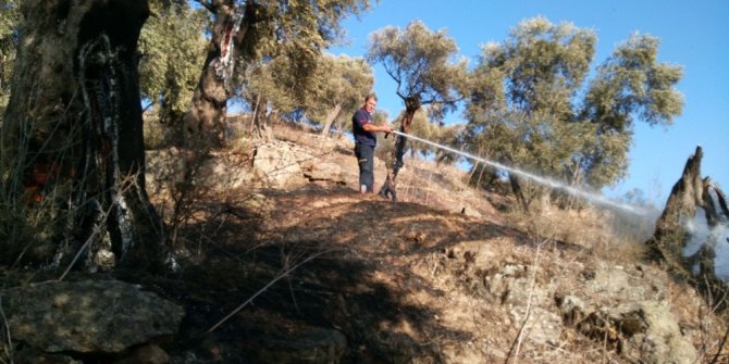 Facia ucuz atlatıldı