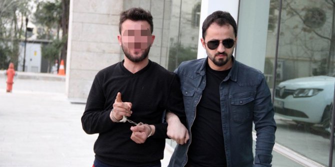 Bonzai ticaretine ceza yağdı